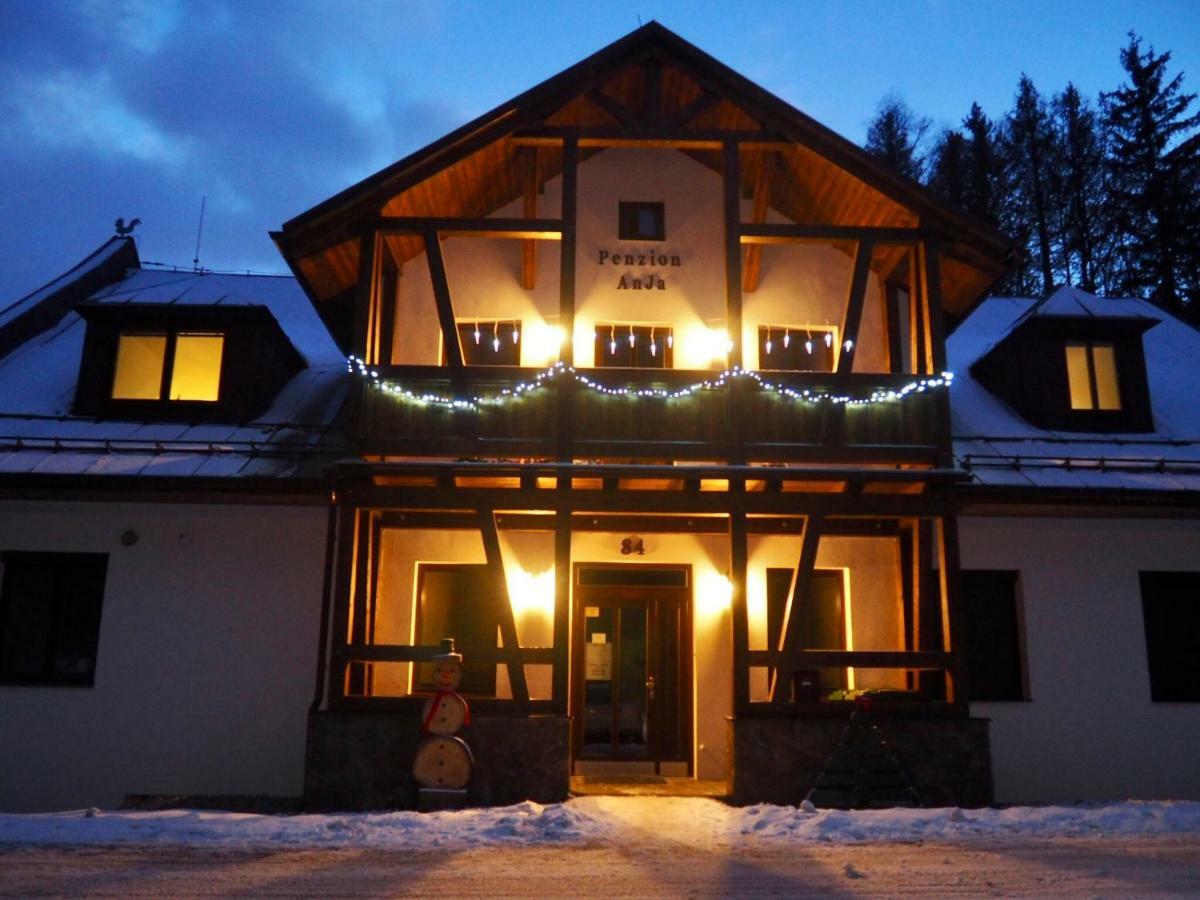 Pension Anja Andelska Hora  Exterior photo